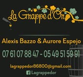 pub LA GRAPPE D'OR